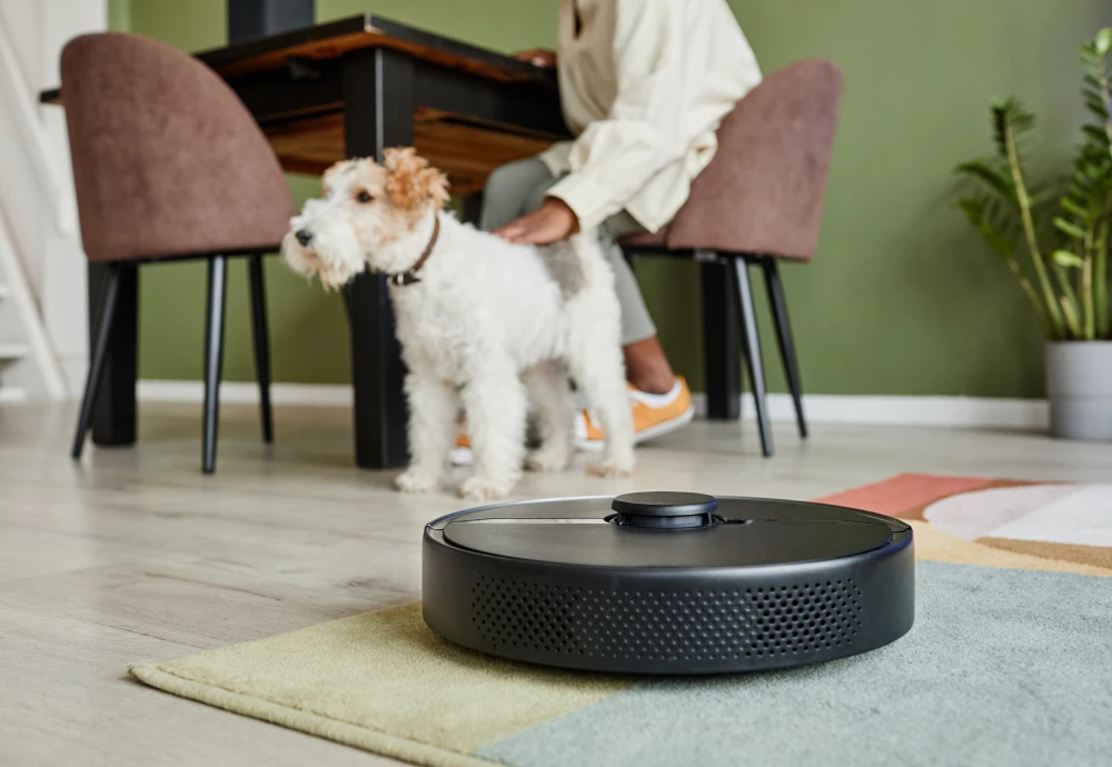 cleaning robot vacuum