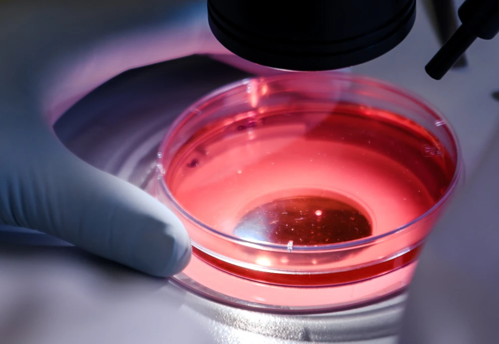 digital camera microscope