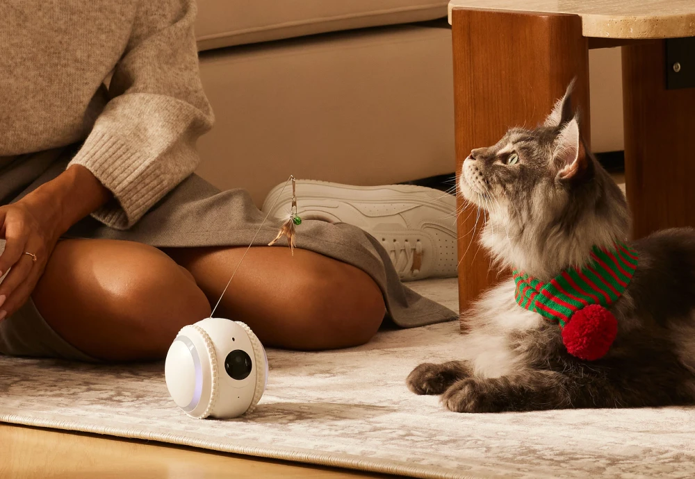 best pet video camera