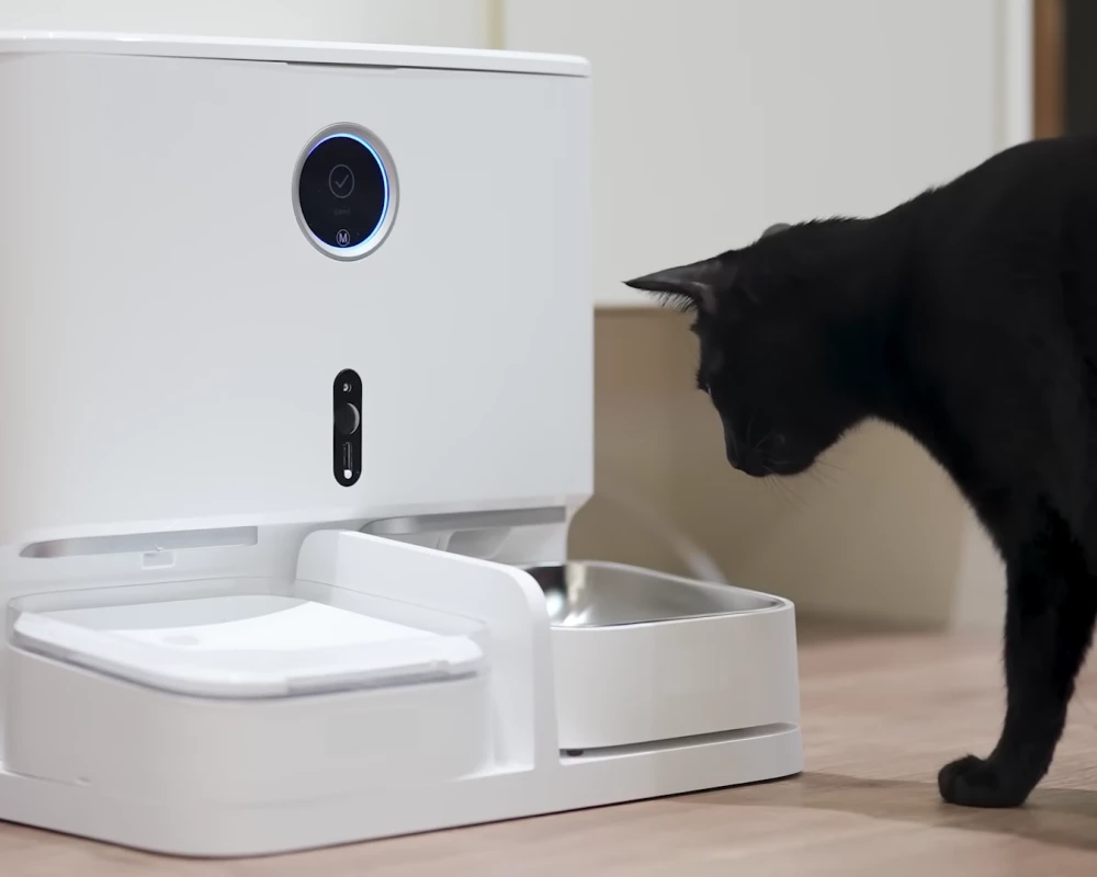 automatic cat feeder pets at home