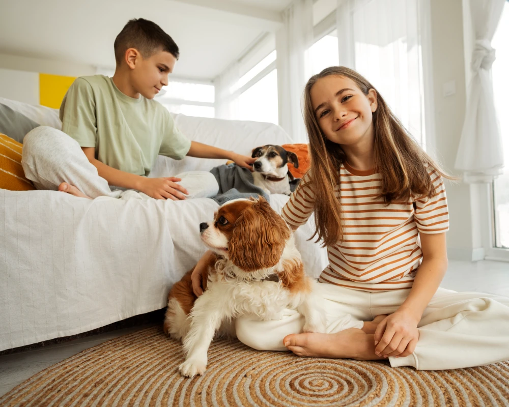 automatic feeder with camera