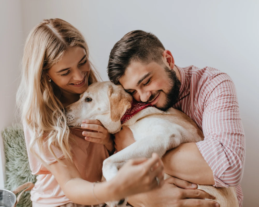 automatic pet feeder bowl